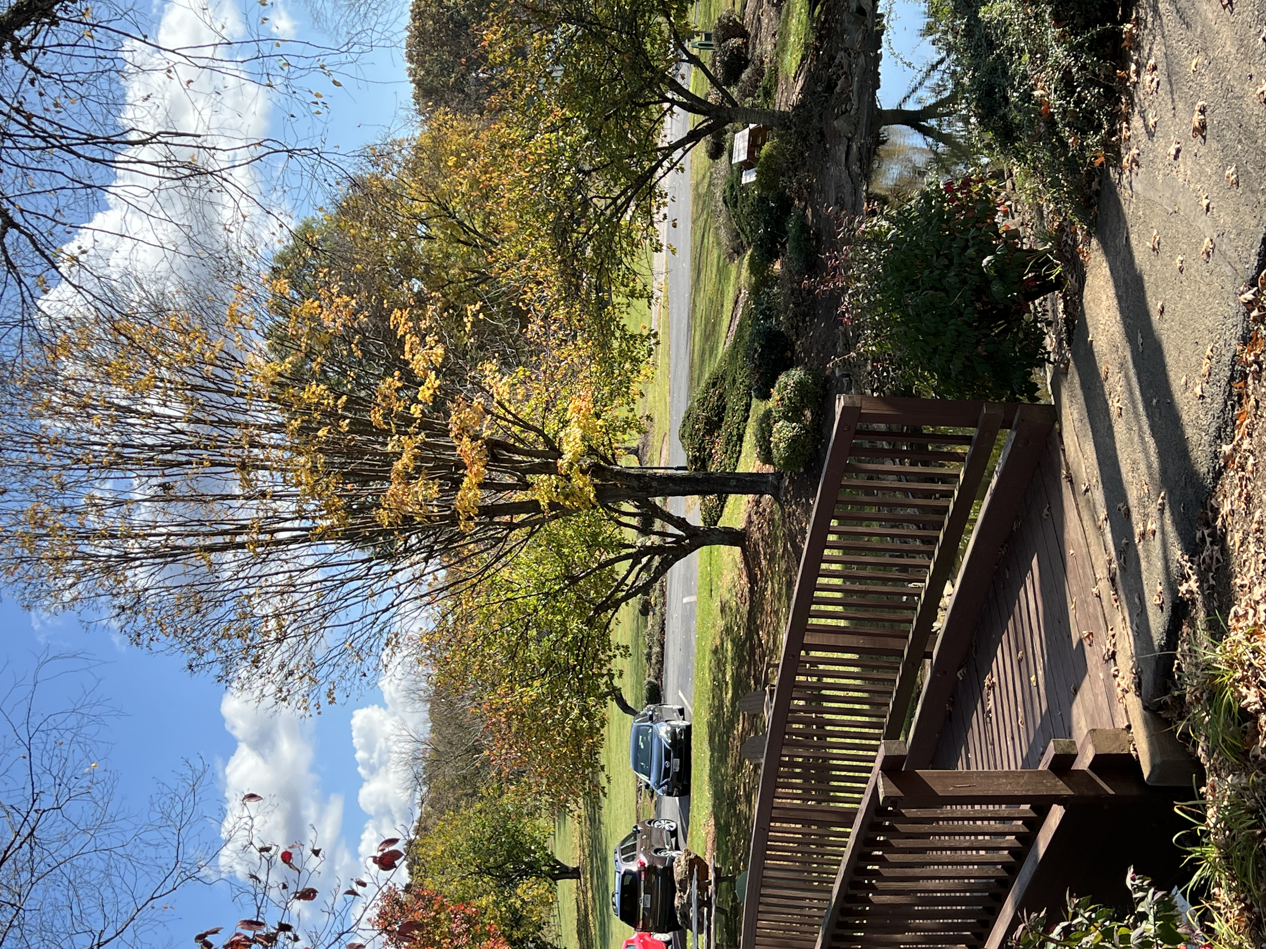 ./2024/11 - Byrd's Branch/IMG_3630.JPG